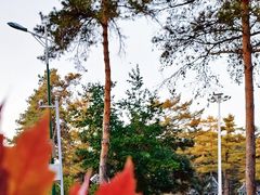 -黑龙江省森林植物园