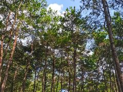 -Club Med地中海俱乐部·桂林度假村