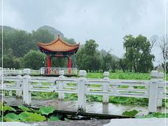 -安龙招堤