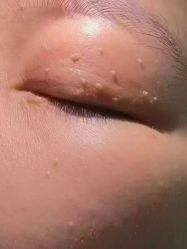 -薇薇安花系SPA