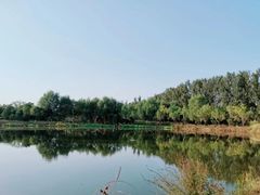 -东郊湿地公园