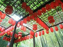 -竹泉村旅游度假区