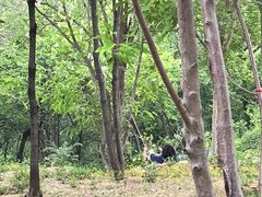 -北京西山国家森林公园