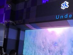 -泉城欧乐堡海洋极地世界