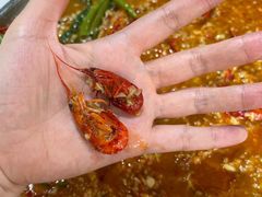 蒜蓉虾-辣螃铠盆盆蟹大排档(总店)