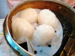 -点点心点心专门店(湾仔店)