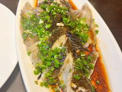 -老牌坊鲁菜名店(聊城美食岛店)