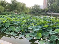 -南翠屏公园