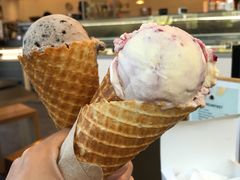 -Patagonia Chocolates(皇后镇店)