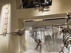 -国家自然博物馆