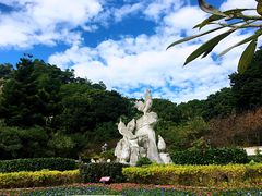 -金鸡山公园