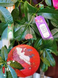 -新寰亚月子会所(金鸡湖凯宾店)