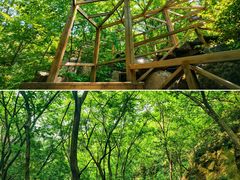 -大岭沟猕猴桃谷风景区