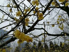 -白塘生态植物园