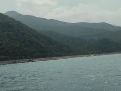 -杨梅坑