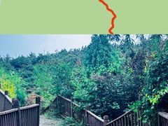 -五龙城郊森林公园