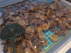-集品鲜湾·蒸汽海鲜自助料理(青岛银座和谐广场店)