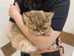 -美联众合动物医院·24h京西诊疗中心