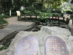 -成都市活水公园
