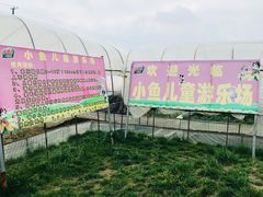 -小鱼草莓采摘园农家乐·小鱼餐厅