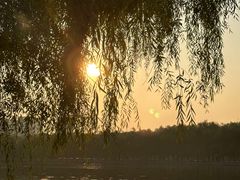 -北陵公园