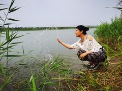-绿堤公园