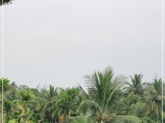 -万兴启丰椰子文化园餐厅