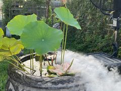 -悦融·京鲁菜·露台花园(安定门店)