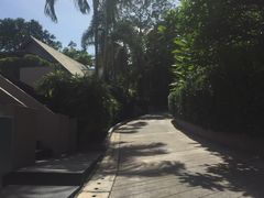 -普吉岛凯悦酒店