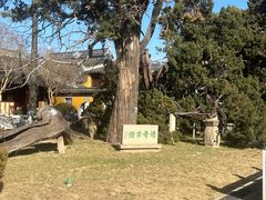 -司徒庙