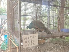 -粮心小农·大头虾亲子生态园(长发店)