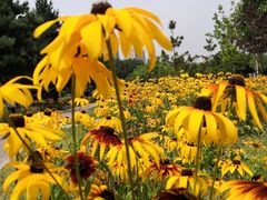 -长春公园(普阳街道)