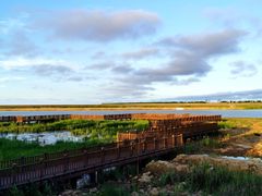 -黄海国家森林公园