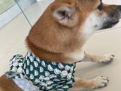 -怪兽屋·羊驼·猫咖·狗咖(俊华广场店)