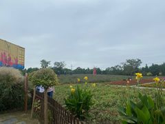 -同里国家湿地公园