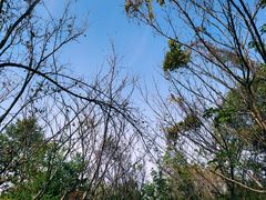 -艾溪湖湿地公园