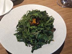 炝拌花椒芽-金岳台私汤温泉度假山庄·创意餐厅(昌平十三陵店)