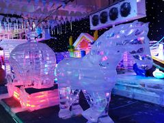 -厦门方特梦幻王国