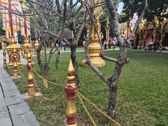 -西双版纳总佛寺