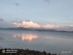 -深圳湾公园(南山区)