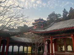 -宫事颐庭·老佛爷贵寿下午茶(颐和园店)