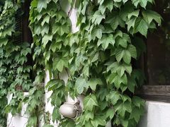 -斯多格书乡(北京大学畅春园店)