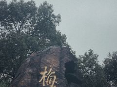 -无锡梅园公园