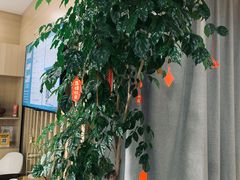 -麦悠悠·SPA·推拿(沈杜公路地铁站店)