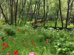 -西湖风景区-江洋畈生态公园