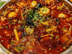 -黑竹香鸡(营和巷店)