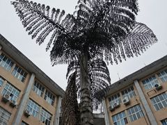 -西南交通大学(峨眉校区)