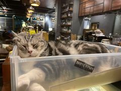 -咖法森林·咖啡  酒吧(天河店)