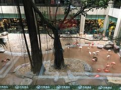 -麒麟中餐厅·经典粤菜·地道菜式老字号(广州长隆酒店)