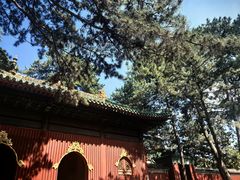 -普乐寺